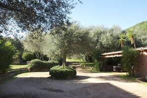 Terrein van de accommodatie