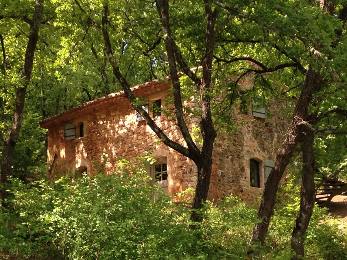 Imagem do perfil do anfitrião