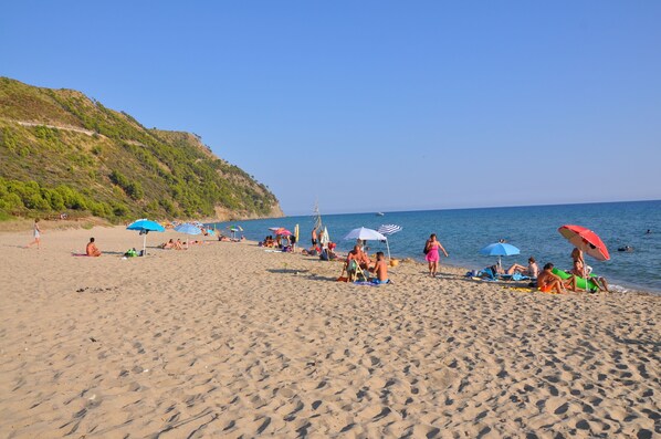 بالقرب من الشاطئ، كراسي للتشمس