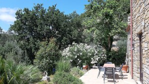 Zona de pati amb taula i cadires, envoltada de vegetació i arbres frondosos.