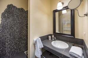 Shower, hair dryer, towels