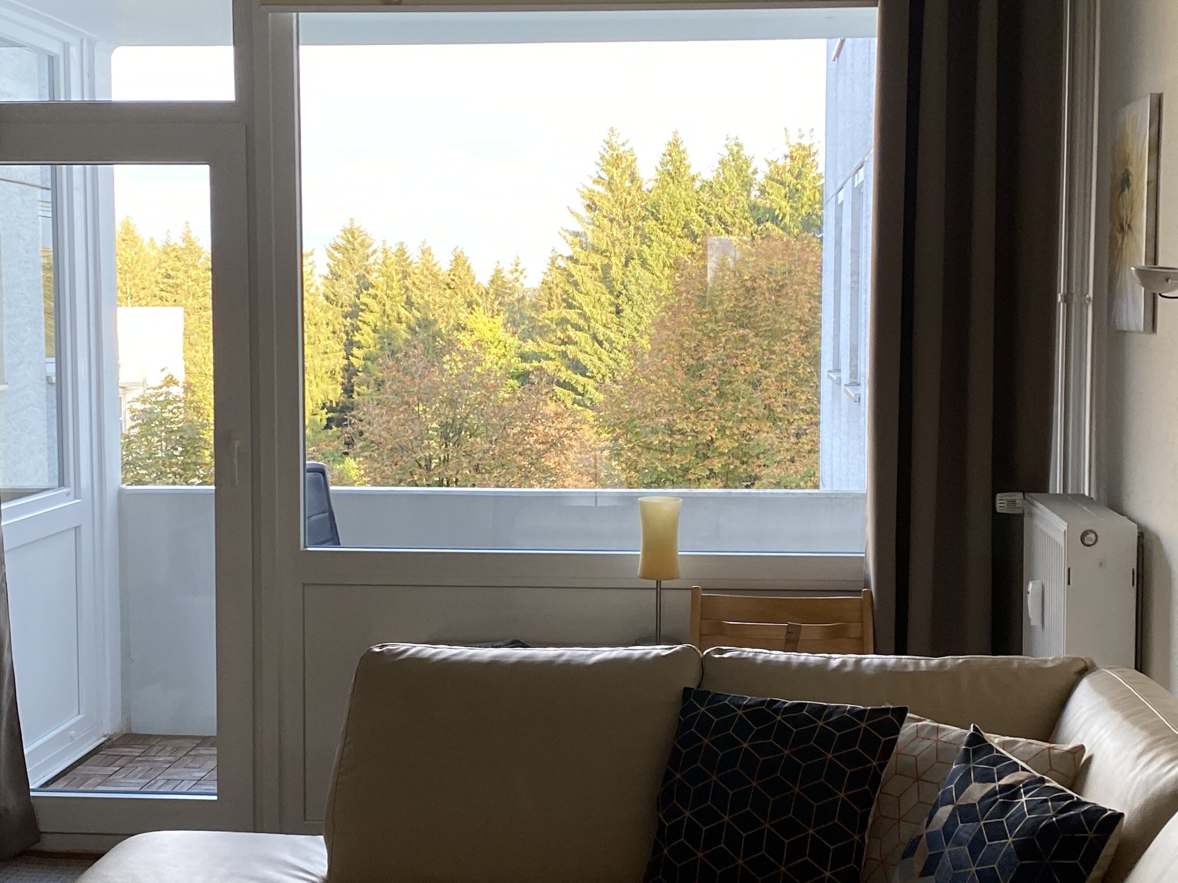 TV, DVD player, table tennis, books