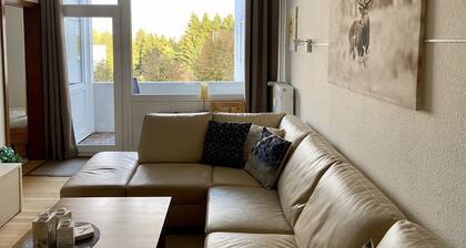 Comfortable and modern apartment for 4 Personenmit Vollausstattung