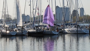 A marina with multiple sailboats docked.