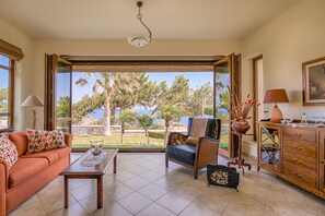 Smart TV, chimenea, reproductor de DVD y libros