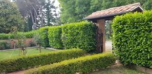 Property grounds - Apartment in Villa Tuscany (monticiano)