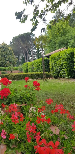 Property grounds - Apartment in Villa Tuscany (monticiano)