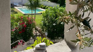 Vista a través de un ventanal arqueado de un área de piscina con barandilla de piedra, un pequeño montículo de piedras y diversas plantas.