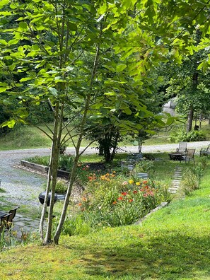 Property grounds - Upscale Dog Friendly Peaceful Cottage Near Town & TV  Fun (Hendersonville)