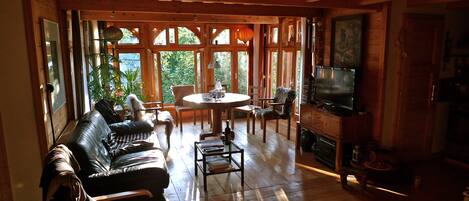 Televisión, reproductor de DVD, libros y biblioteca musical