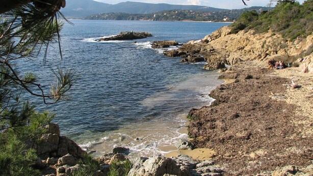 Un paysage côtier caractérisé par un terrain rocheux et une vue dégagée sur la mer.