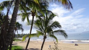 A beach with palm trees and a clear sky.