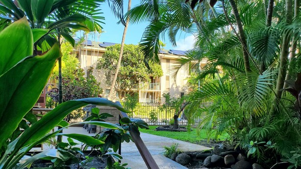 A lush garden with a concrete pathway leading to a building with solar panels.