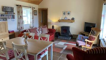 Smart TV, fireplace, DVD player, books