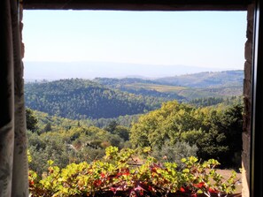 Interior - Beautiful villa for large groups, family reunions, and weddings and workshops (Castellina in Chianti)