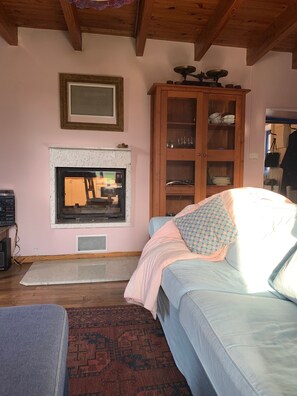 TV connectée, cheminée, lecteur de DVD, livres