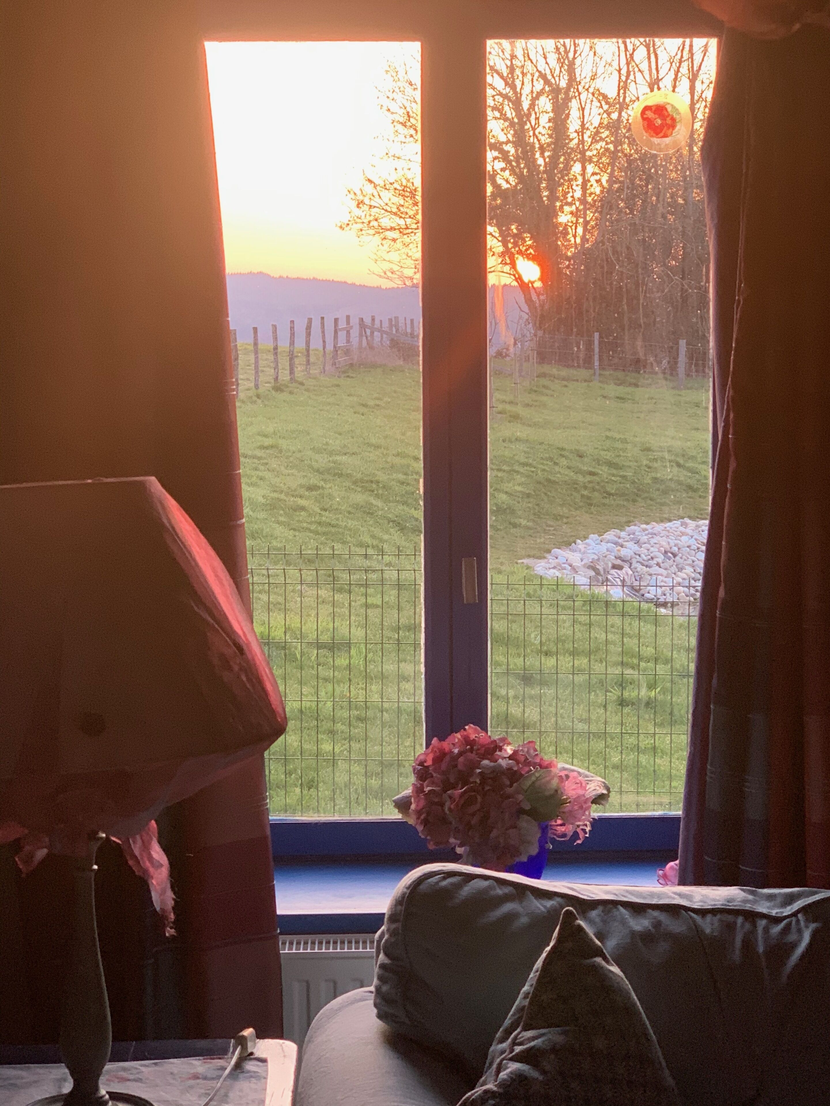 Une pièce avec une grande fenêtre, un canapé, une lampe et un vase rempli de fleurs.
