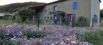 Bucolic 1820's Farmhouse With All Amenities In The Heart Of The Beaujolais