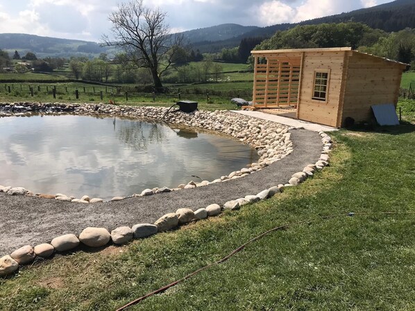 Una pequeña cabaña de madera con un estanque y un borde de piedra.