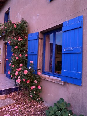 Un edificio con contraventanas azules y rosas rosadas.