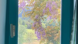 Une fenêtre donnant sur un arbre aux fleurs violettes et un champ d’herbe.