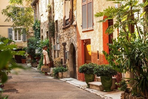 Welcoming air-conditioned villa with lovely sea view and swimming pool surrounded by olive trees