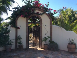 Property grounds - Beachfront, private pool, spacious, tranquil  (Todos Santos)