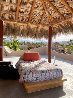 Property grounds - Beachfront, private pool, spacious, tranquil  (Todos Santos)