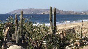Kustlandschap met cactussen en uitzicht op de oceaan en heuvels in de verte.