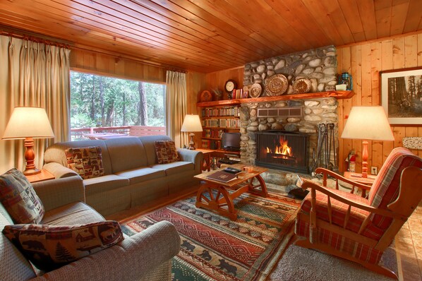 TV, fireplace, video library