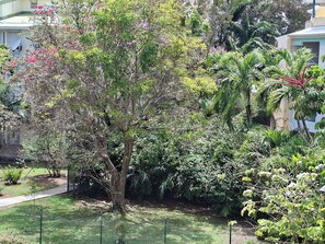 Property grounds - Sssssssssssssssssssssssssssssss (Le Gosier)