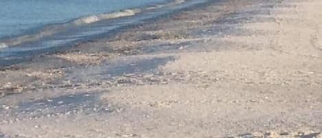 On the beach