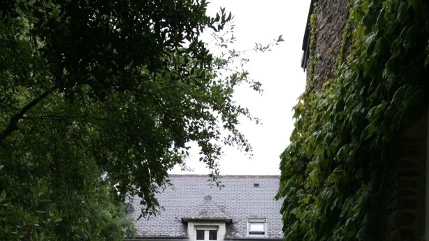 Un edificio de piedra con una ventana y una puerta, rodeado de vegetación exuberante y plantas florecientes.