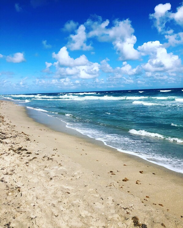 Camastros y toallas de playa 