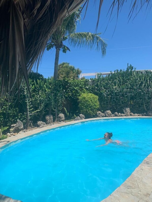 Una piscina con agua azul cristalina, rodeada de exuberante vegetación y rocas.