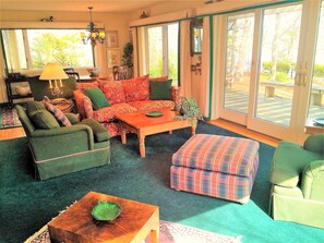 Smart TV, lareira, livros, videoteca