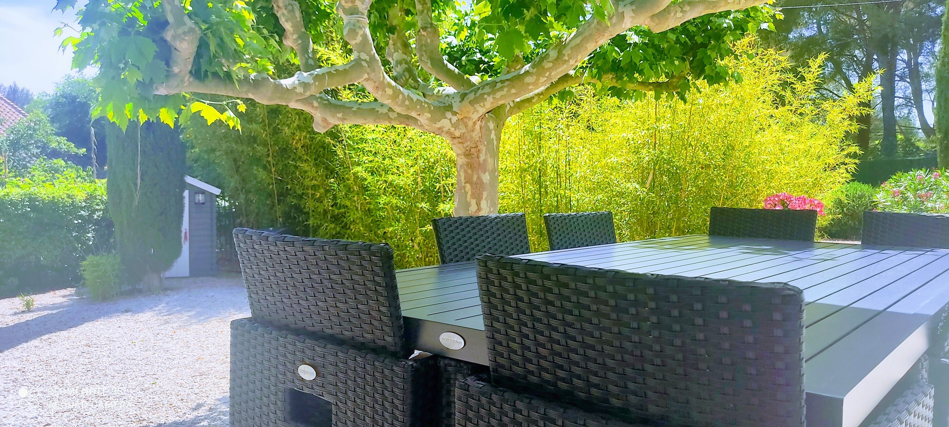 A rectangular outdoor table with four chairs, surrounded by lush greenery and a tree.