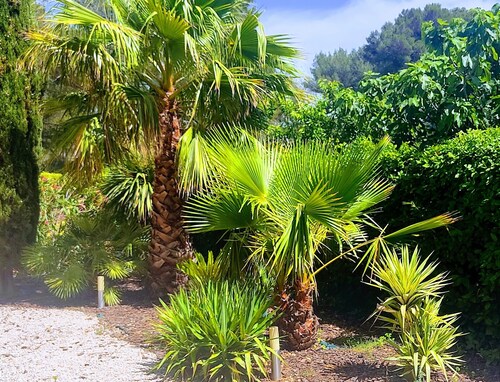 Villa in den Ausläufern zwischen Marseille und Cassis