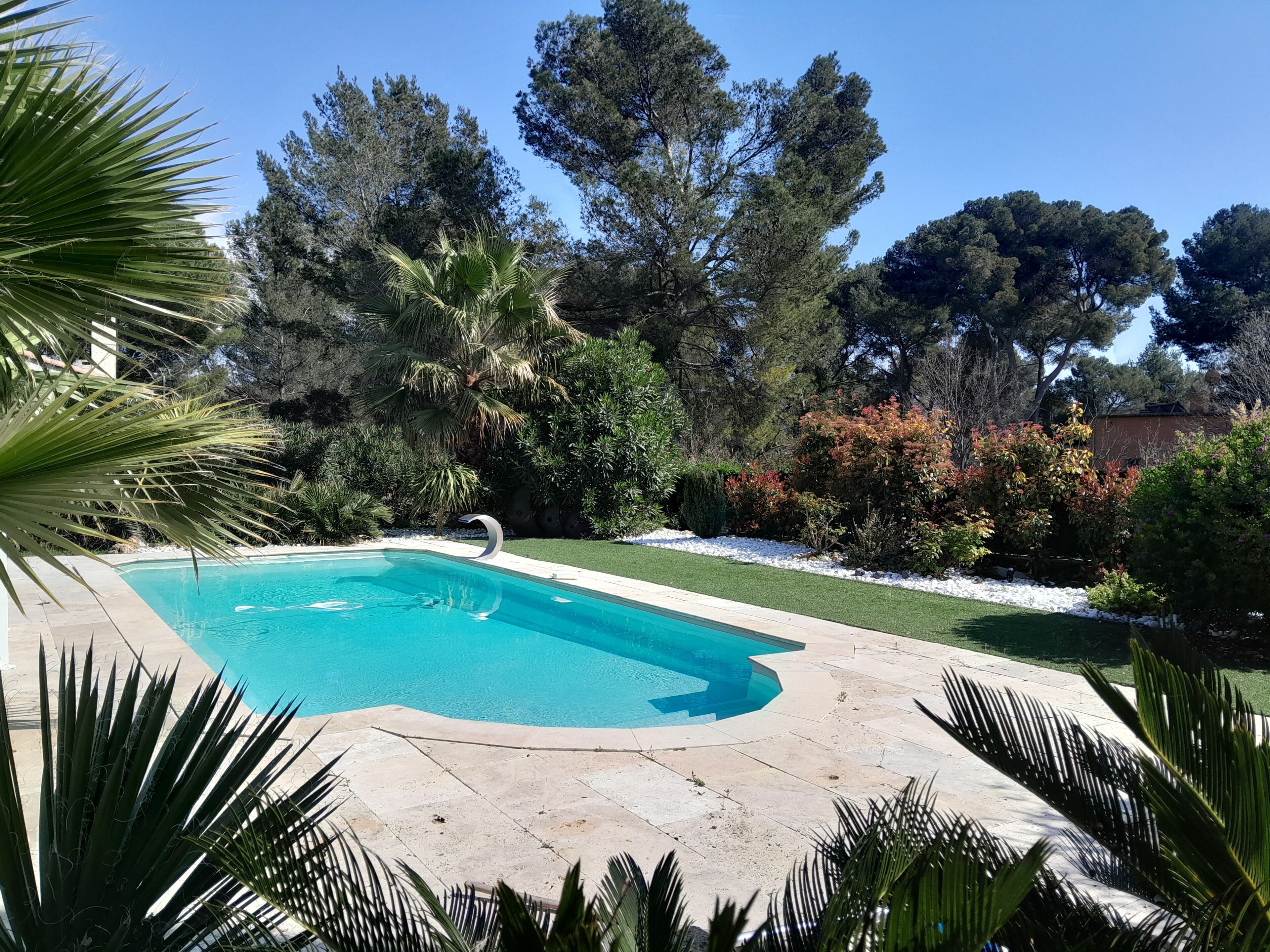 A swimming pool with a curved edge, surrounded by a patio area and various trees.