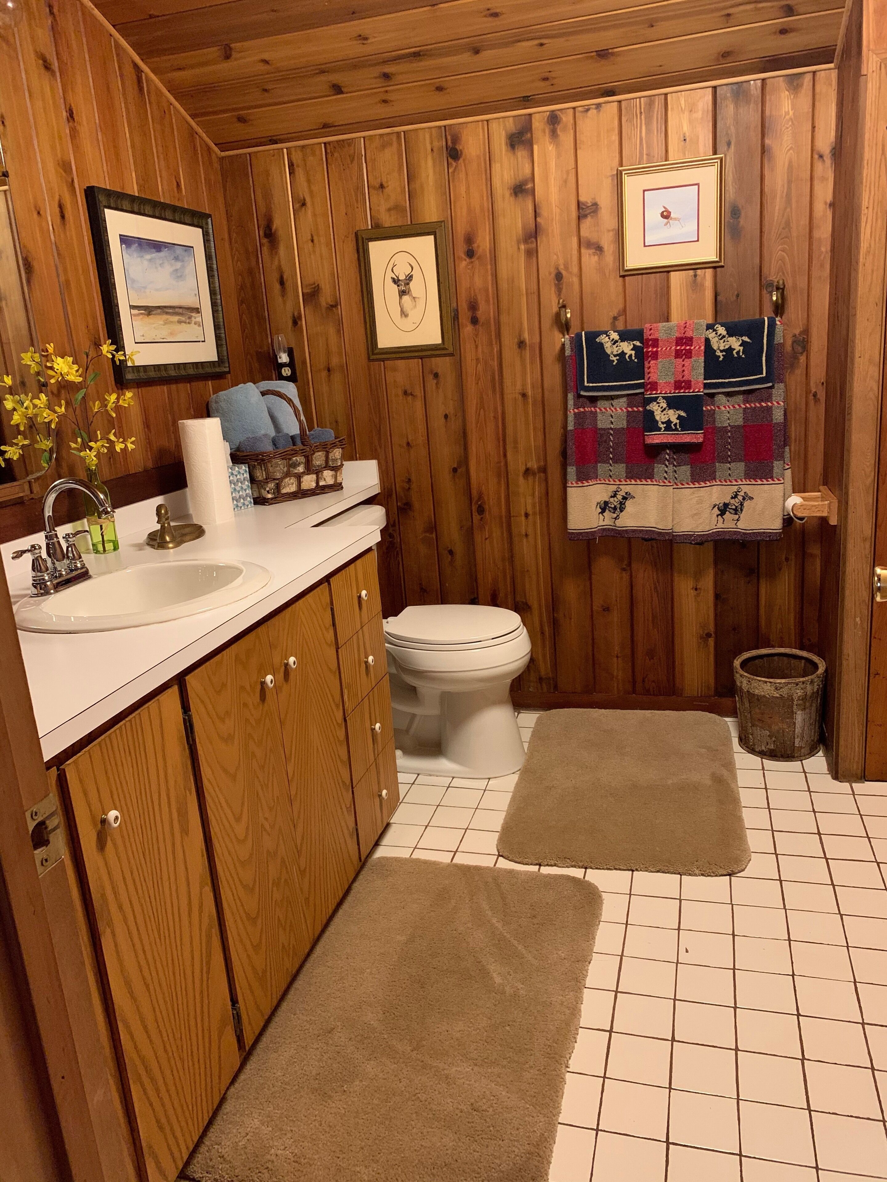 7 acre private retreat, cabin and bunk house, Rave, kayaks, paddleboat, pontoon