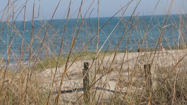 A beach with tall grasses in the foreground and a clear view of the ocean in the background. - 2 Bedroom Lovingly Restored 1925  Cottage 1 1/2 Blocks From Beach (Tybee Island)