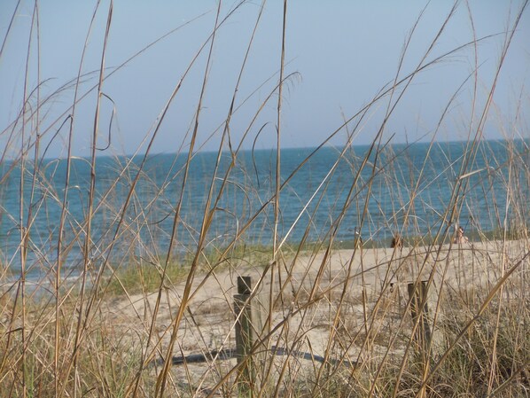 Beach nearby, sun loungers - 2 Bedroom Lovingly Restored 1925 Cottage 1 1/2 Blocks From Beach (Tybee Island)