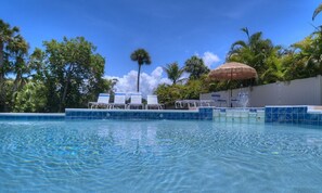 A heated pool - Beautiful Siesta Key (Siesta Key)