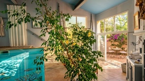 Une pièce avec une piscine, de grandes fenêtres et des plantes d’intérieur.