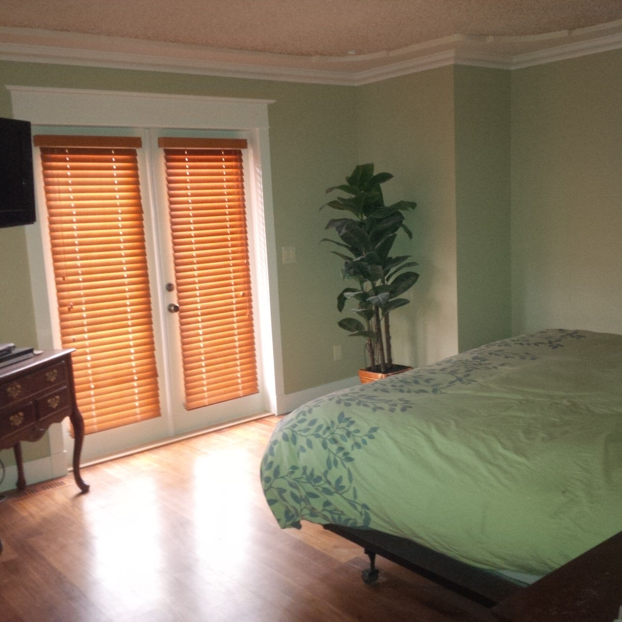 Une chambre à coucher comprenant un lit, une commode, une plante en pot et un placard avec une porte coulissante.