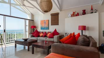 Smart TV, DVD player, livros, videoteca