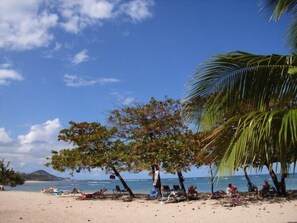 Beach - Studio in a tropical garden close to the beautiful beach (Puerto Plata)