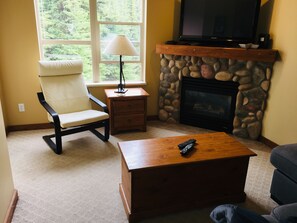 TV, fireplace, books