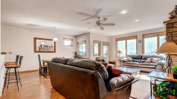 Televisión, chimenea, videojuegos y reproductor de DVD