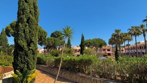 Un jardín ajardinado con diversas especies de árboles y arbustos, un sendero de piedra y edificios al fondo.
